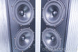 Meridian DSP5000 96/24 Speakers