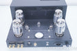 Rogue Audio M-180 Tube Amplifier Upgraded Mono Pair in Factory Boxes