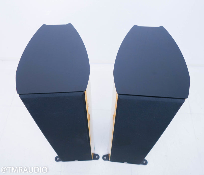 Wilson Benesch Curve Floorstanding Speakers