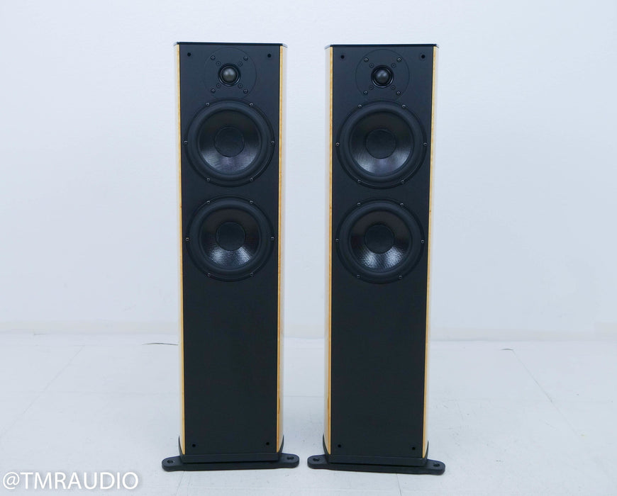 Wilson Benesch Curve Floorstanding Speakers