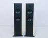 Wilson Benesch Curve Floorstanding Speakers