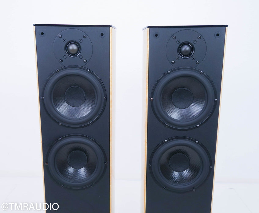Wilson Benesch Curve Floorstanding Speakers