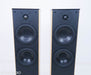 Wilson Benesch Curve Floorstanding Speakers
