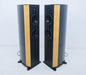 Wilson Benesch Curve Floorstanding Speakers