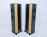 Wilson Benesch Curve Floorstanding Speakers