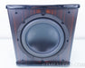 AV123 Onix Rocket UFW-10 Powered Subwoofer