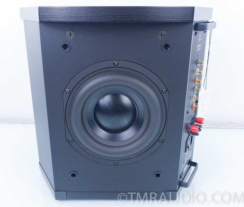 Martin Logan Depth i Powered Subwoofer