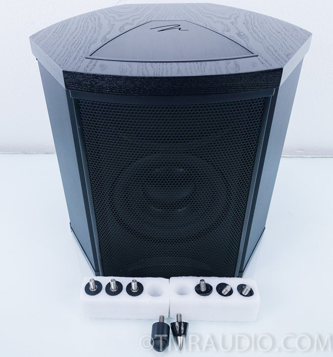 Martin Logan Depth i Powered Subwoofer