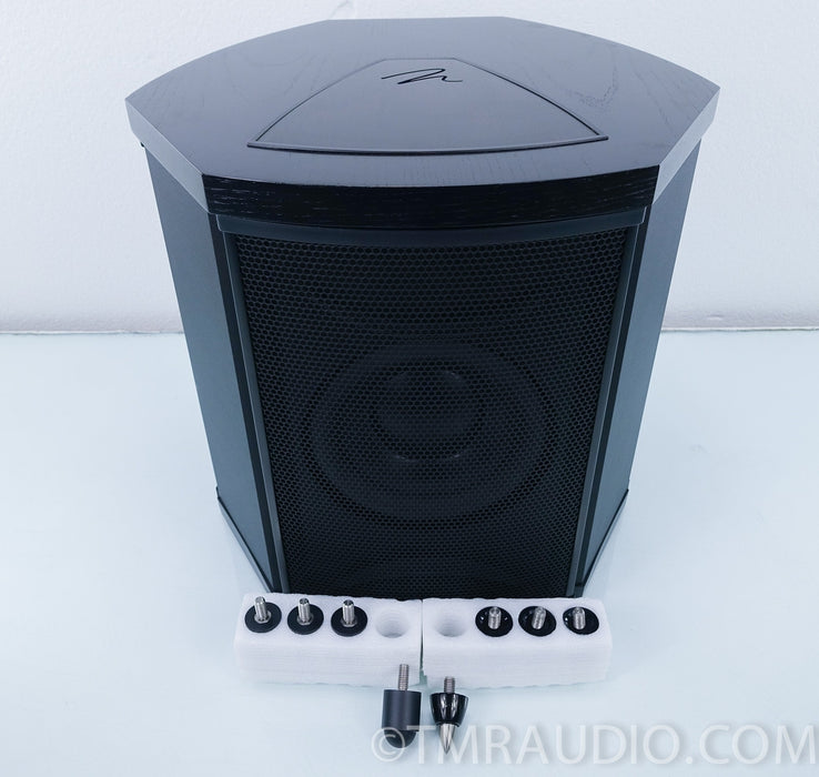 Martin Logan Depth i Powered Subwoofer