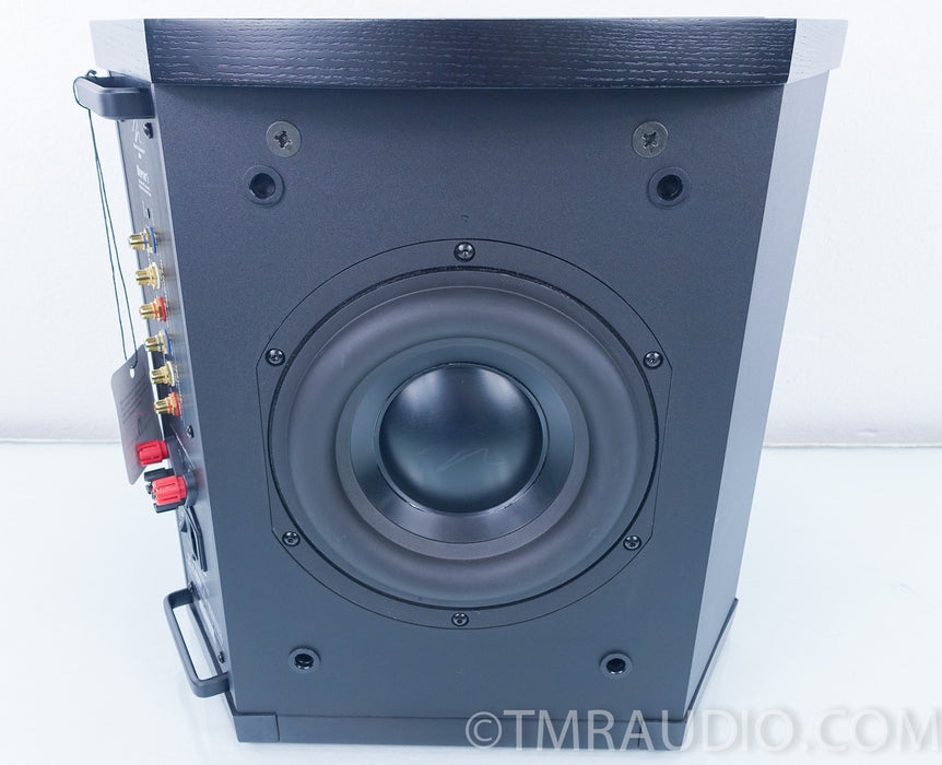 Martin Logan Depth i Powered Subwoofer