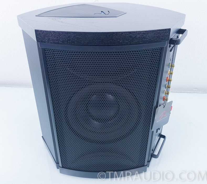 Martin Logan Depth i Powered Subwoofer