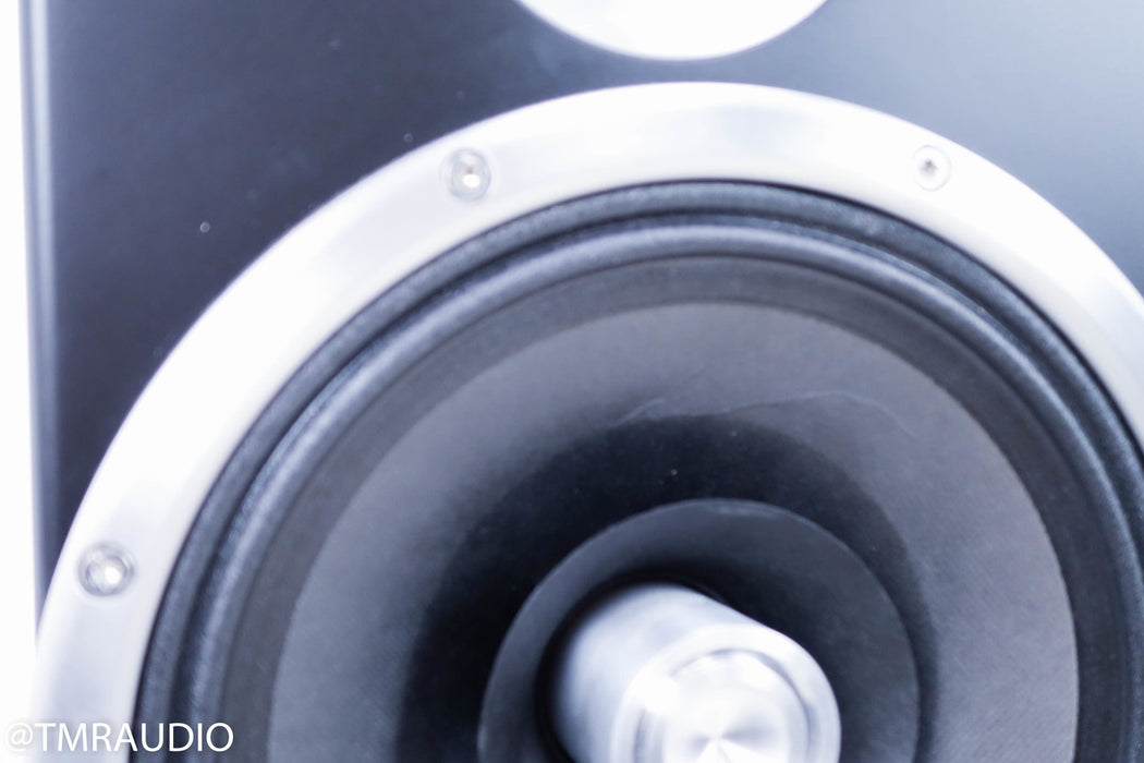 Zu Audio Soul Superfly Floorstanding Speakers