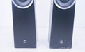 Zu Audio Soul Superfly Floorstanding Speakers
