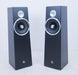 Zu Audio Soul Superfly Floorstanding Speakers