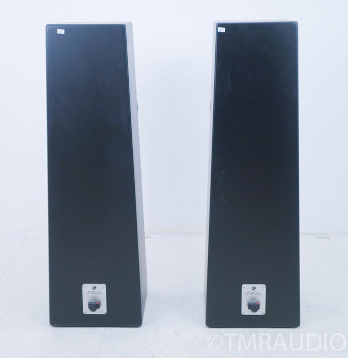 Zu Audio Soul Superfly Floorstanding Speakers