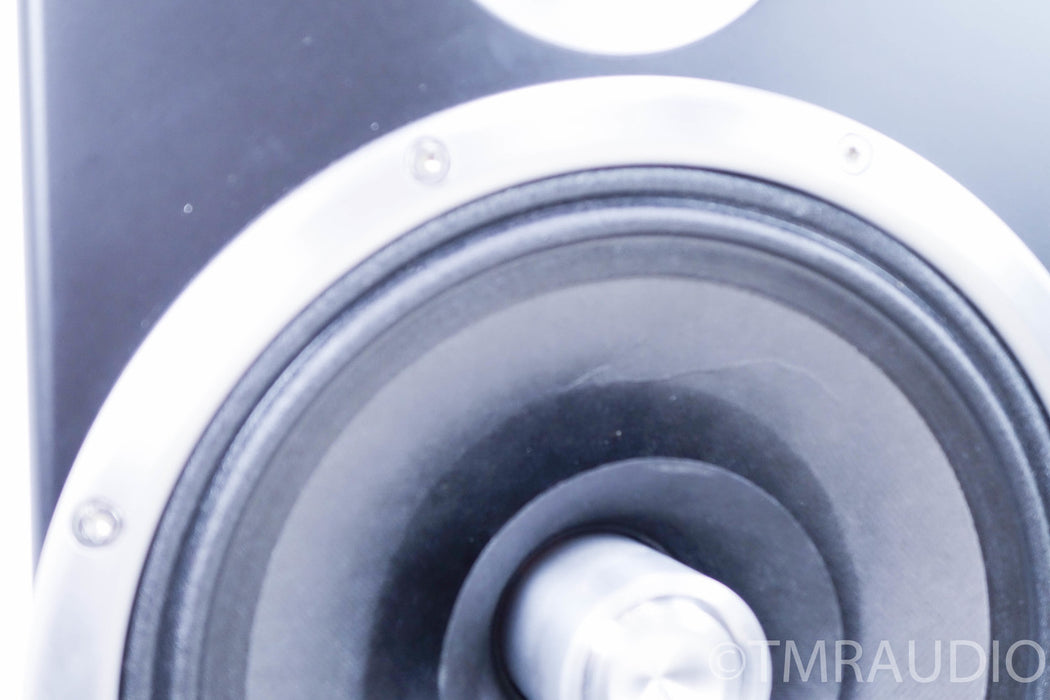 Zu Audio Soul Superfly Floorstanding Speakers