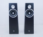 Zu Audio Soul Superfly Floorstanding Speakers