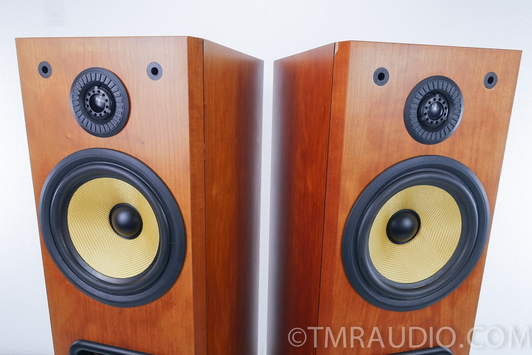B&W P4 Floorstanding Speakers