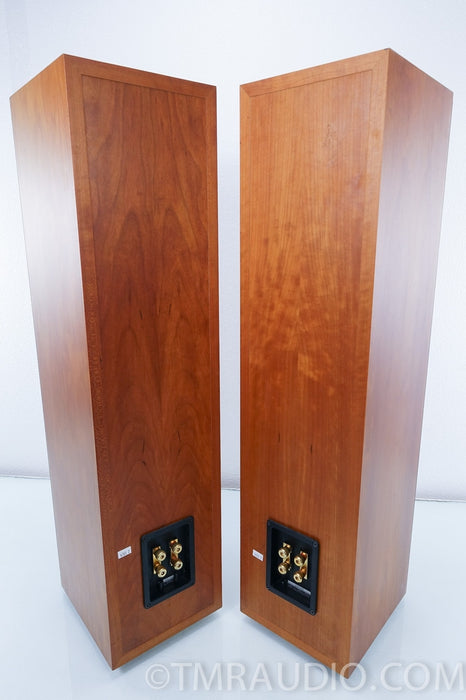 B&W P4 Floorstanding Speakers