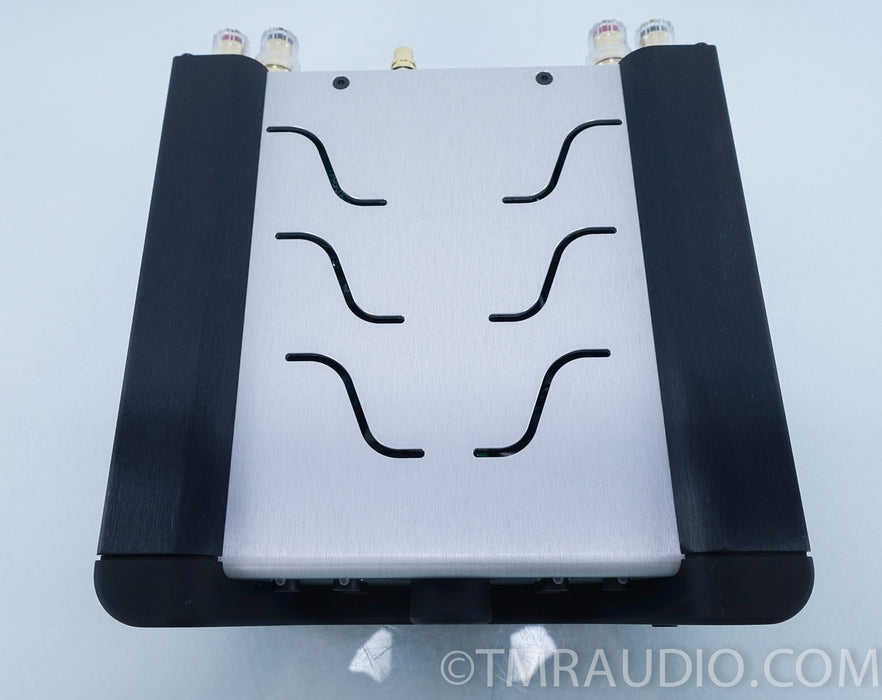 Wyred 4 Sound mINT Mini-Integrated Amplifier in Factory Box
