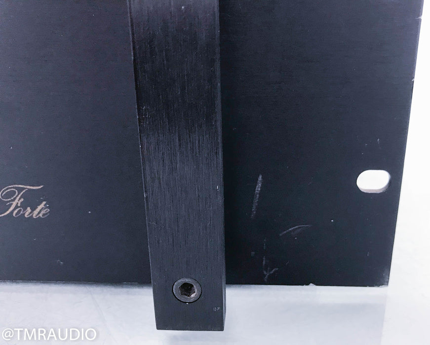 Audire Forte Dual Mono Power Amplifier
