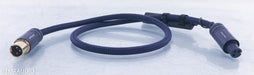 AudioQuest Wild Digital Cable