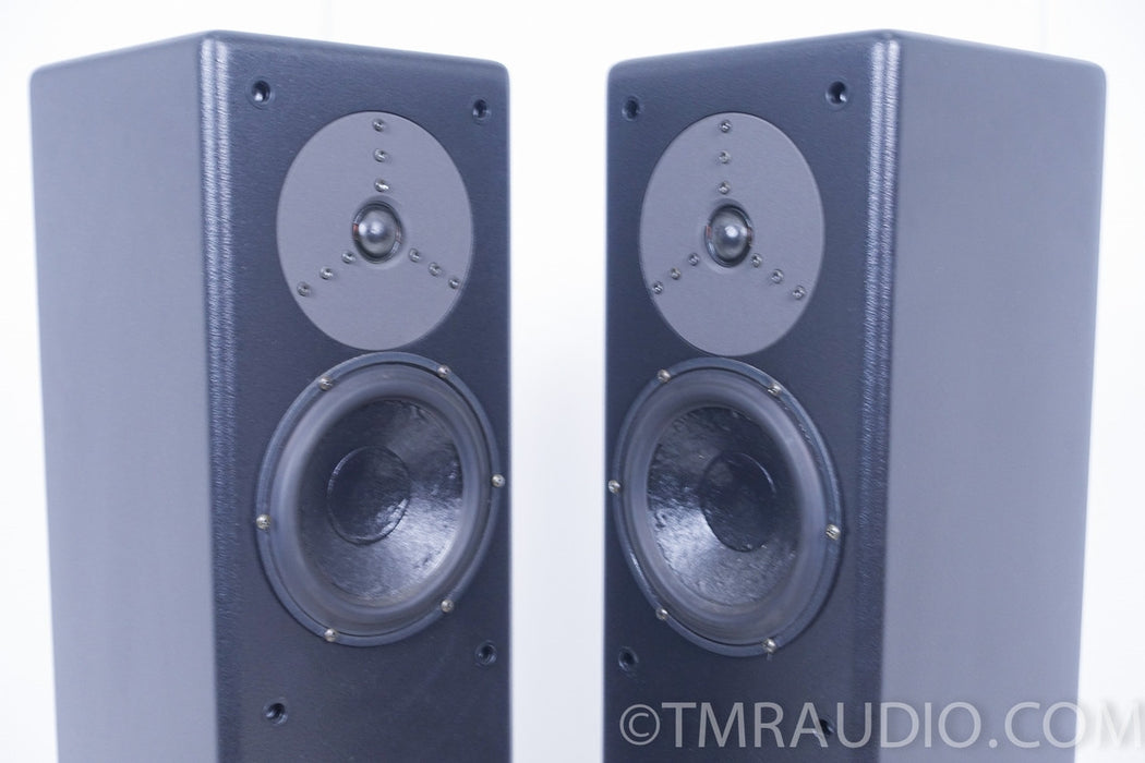 Merlin VSM Floorstanding Speakers with BAM