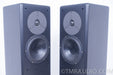 Merlin VSM Floorstanding Speakers with BAM