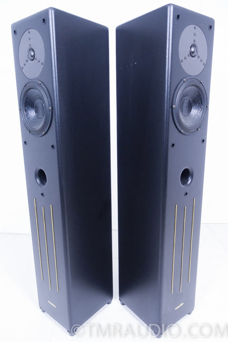 Merlin VSM Floorstanding Speakers with BAM