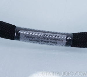Revelation Audio Labs Passage Cryo-Silver Ref. umbilical power cable