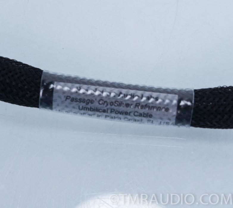 Revelation Audio Labs Passage Cryo-Silver Ref. umbilical power cable