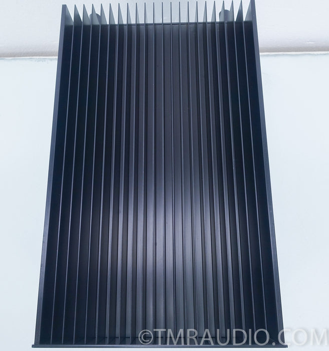 Clayton Audio M-300 Class A Monoblock Amplifier Pair