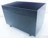 Clayton Audio M-300 Class A Monoblock Amplifier Pair