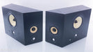 B&W DS8 Wall-Mount Surround Speakers