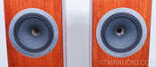 Tannoy Definition DC10A Speakers