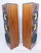 B&W DM3000 Vintage Floorstanding Speakers