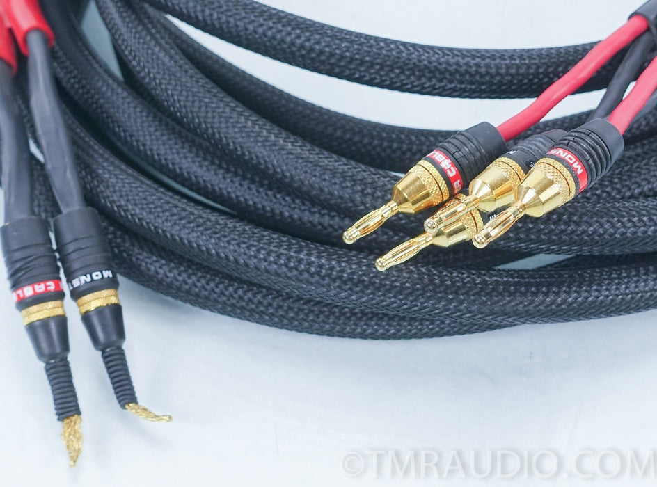 Monster Z2 Speaker Cables