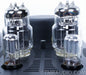 Balanced Audio Technology VK-55 Mono Amplifier