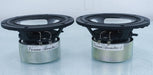 Vienna Acoustics 4 Midrange Drivers