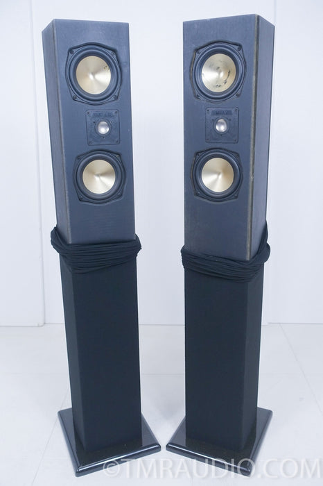 NEAR Soundmaster Floorstanding Speakers
