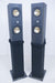 NEAR Soundmaster Floorstanding Speakers