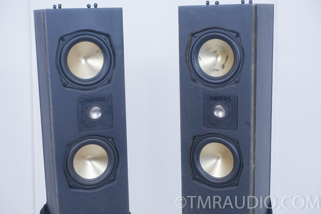 NEAR Soundmaster Floorstanding Speakers