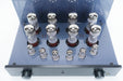 PrimaLuna DiaLogue Premium HP Integrated Amplifier in Factory Box