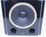 Swan Hi-Vi F5F Floorstanding Speakers
