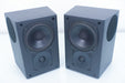M&K SS-150 Tripole Surround Speakers