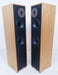Ryan R620 Speakers