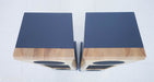 Janszen zA2.1 Electrostatic Hybrid Floorstanding ESL Speakers