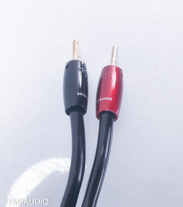 Audioquest Rocket 44 Speaker Cables