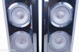 B&W 802D2 Floorstanding Speakers