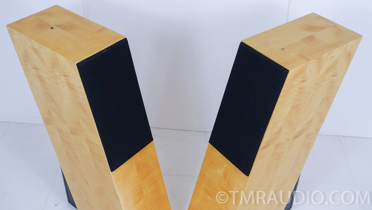 Meret Audio AY Floorstanding Speakers